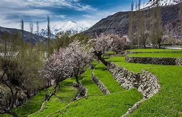 Climbers on Skardu Velley Blossom Tours

